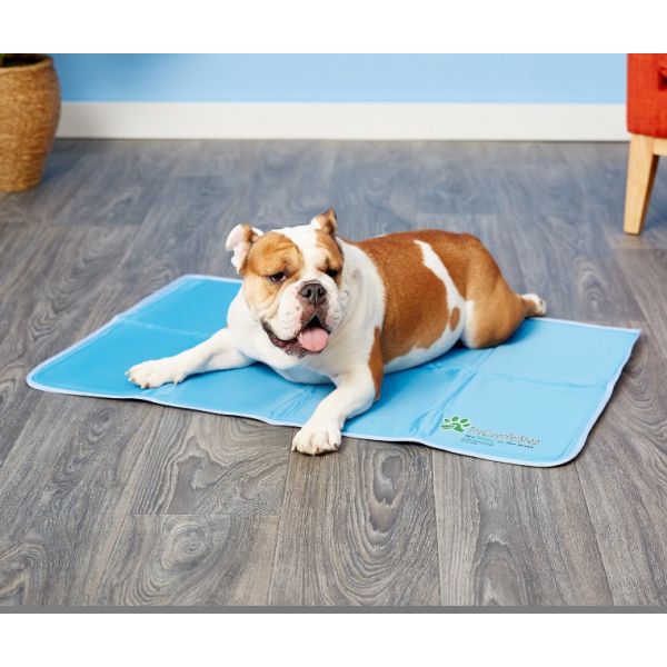 Cool Pet Pad