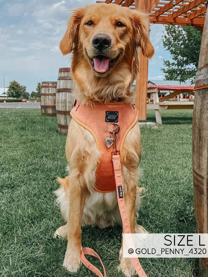 The Sassy Wolf Collection | Adjustable Harness