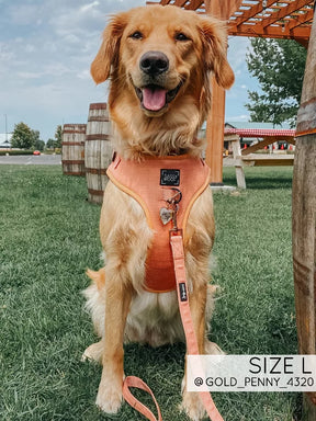 The Sassy Wolf Collection | Adjustable Harness