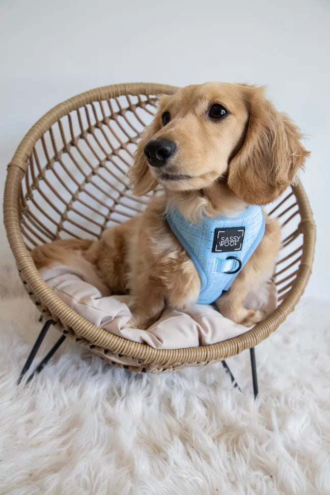 The Sassy Wolf Collection | Adjustable Harness