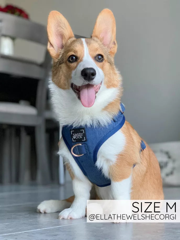 The Sassy Wolf Collection | Adjustable Harness