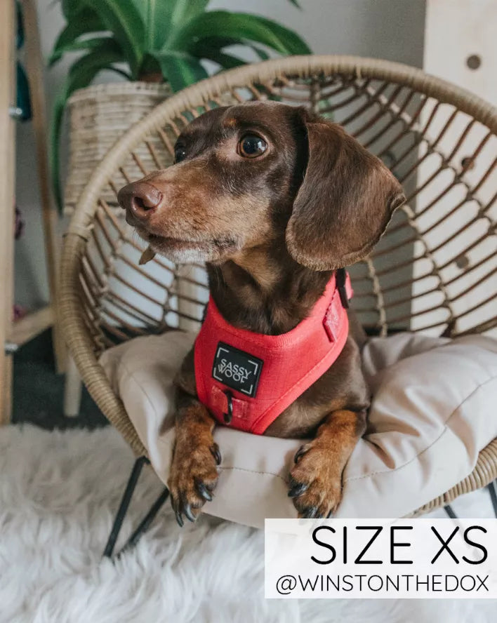 The Sassy Wolf Collection | Adjustable Harness