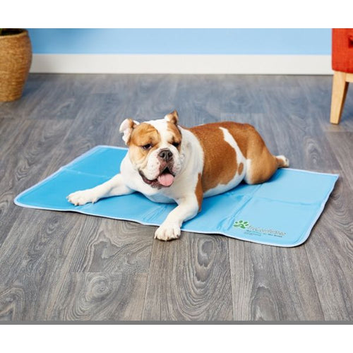 Cool Pet Pad
