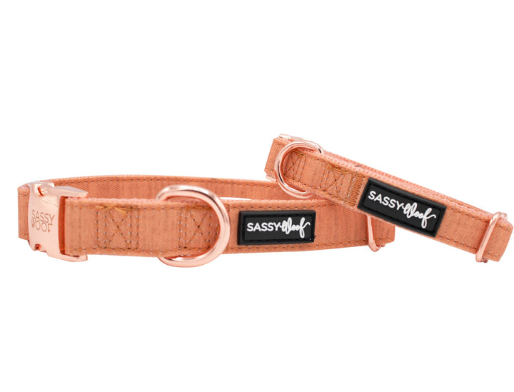 The Sassy Woof Collection | Collar