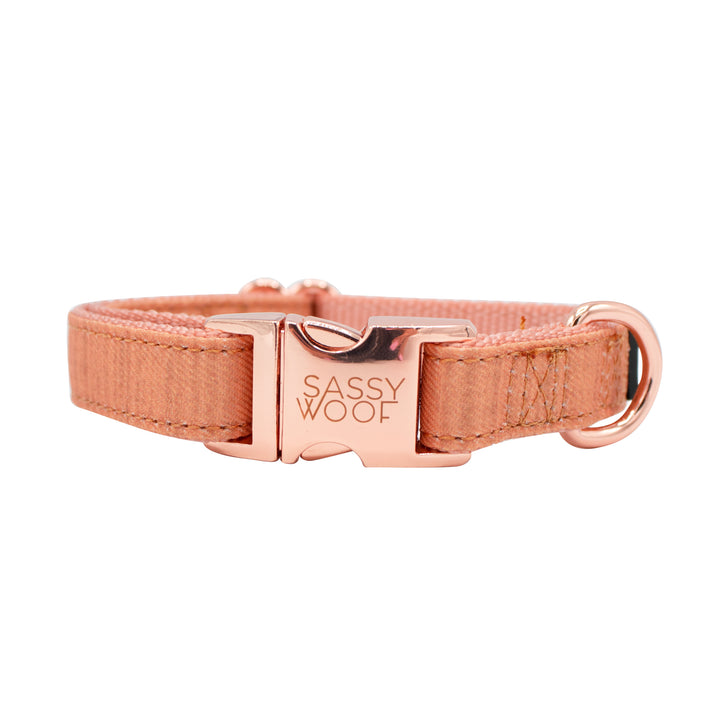 The Sassy Woof Collection | Collar