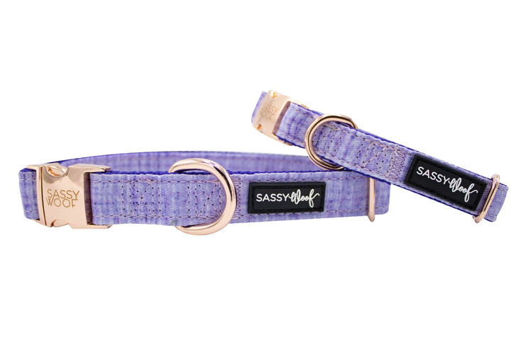 The Sassy Woof Collection | Collar