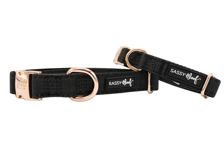 The Sassy Woof Collection | Collar