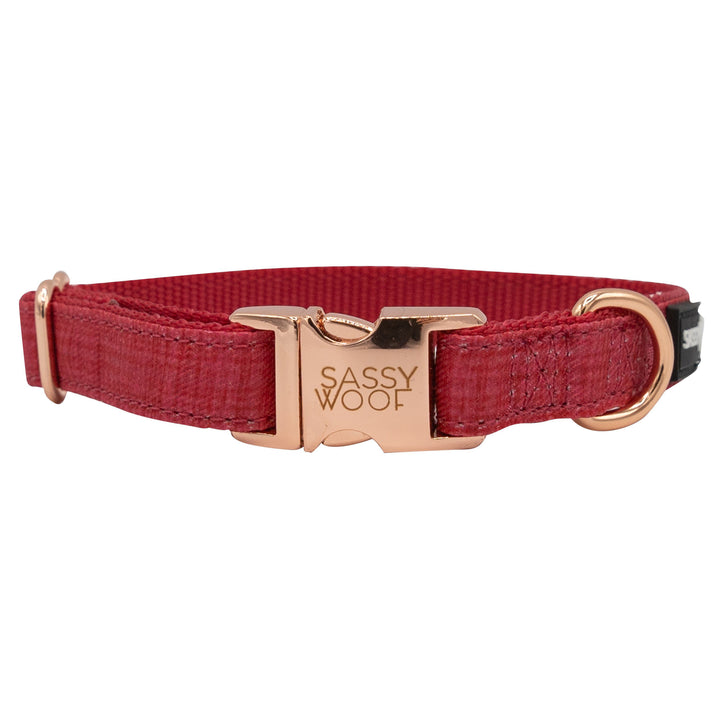 The Sassy Woof Collection | Collar