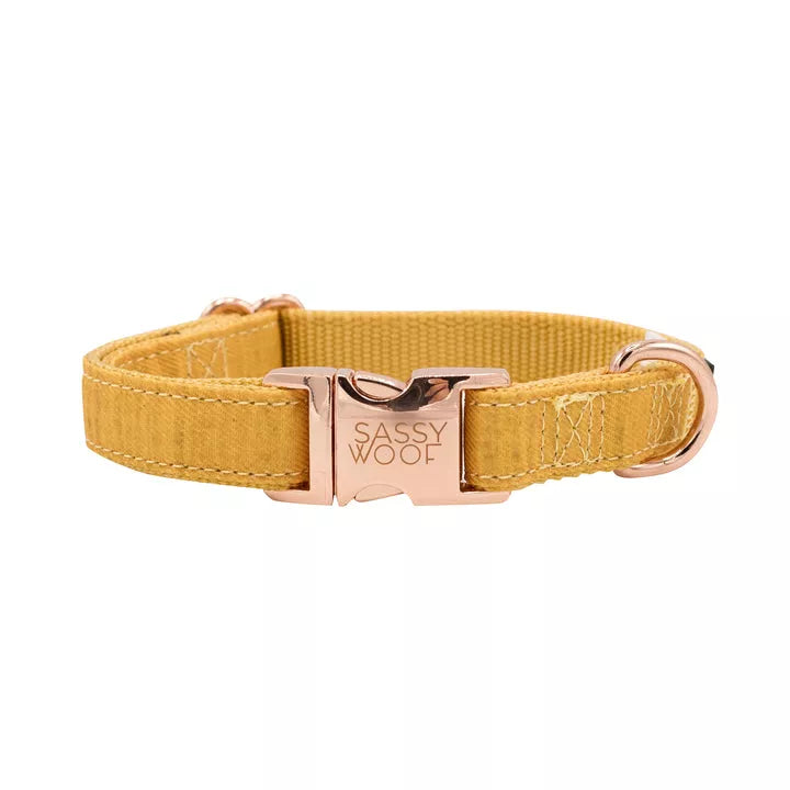 The Sassy Woof Collection | Collar