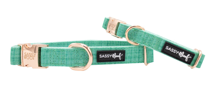 The Sassy Woof Collection | Collar