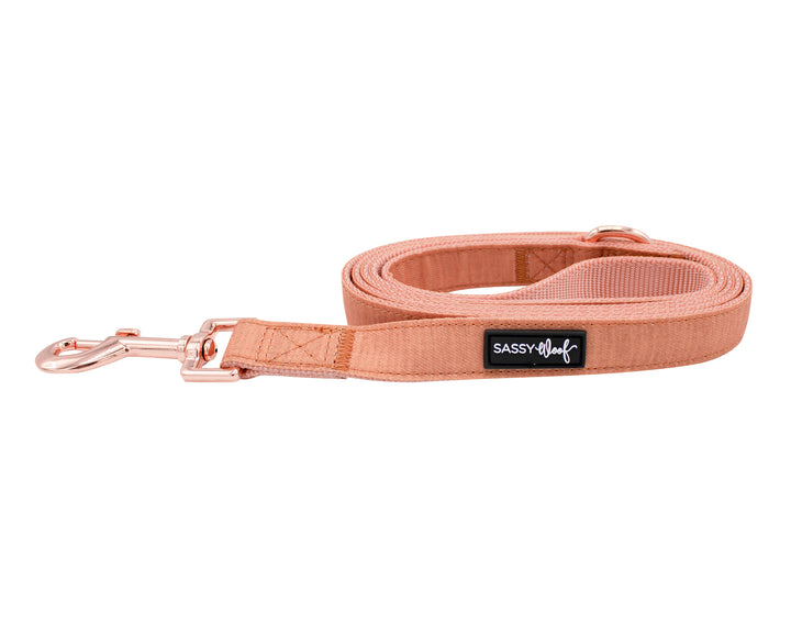 The Sassy Woof Collection | Leash