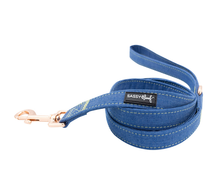 The Sassy Woof Collection | Leash