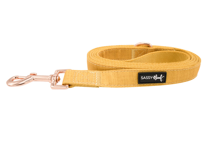 The Sassy Woof Collection | Leash