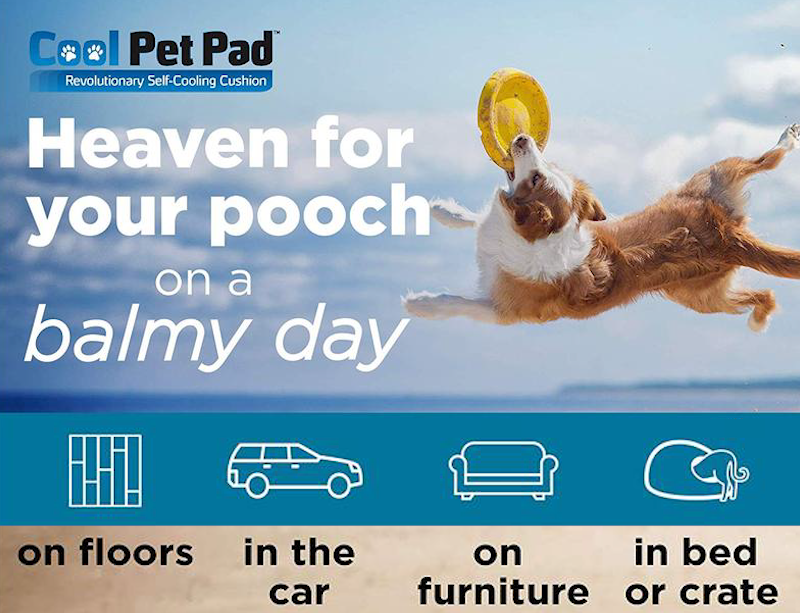 Cool Pet Pad