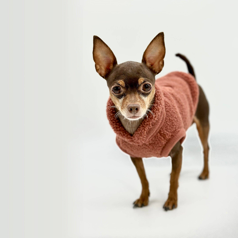 Cozy Sherpa Fleece Pullover