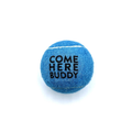 Set of 4 Come Here Buddy Tennis Balls in Sky Blue