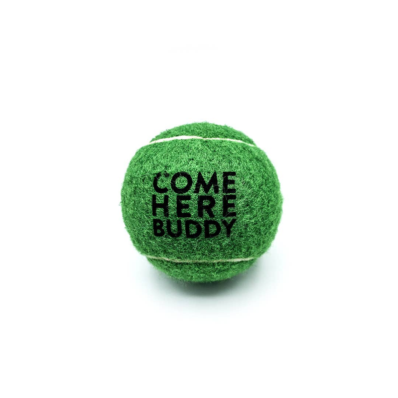 Set of 4 Come Here Buddy Tennis Balls in Green